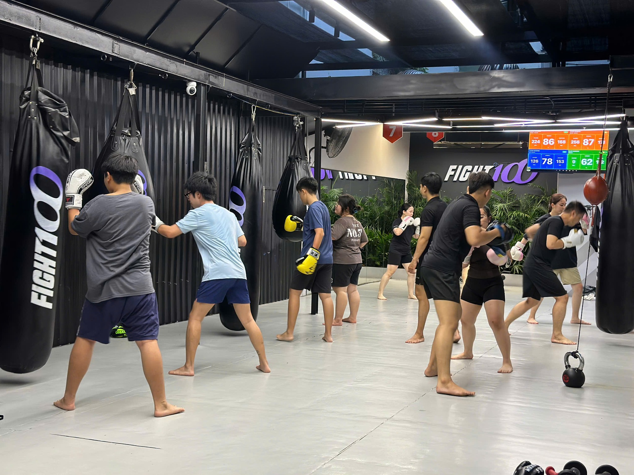 Fight100 Ngô Tất Tố, Bình Thạnh