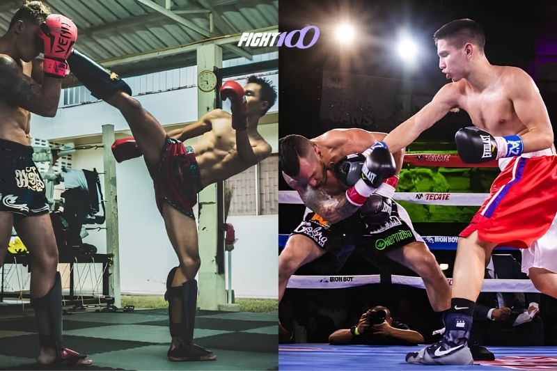 Boxing và Kickboxing khác nhau như thế nào? Nên tập boxing hay kickboxing? 4 4 điểm khác biệt chuyên sâu giữa boxing và kickboxing