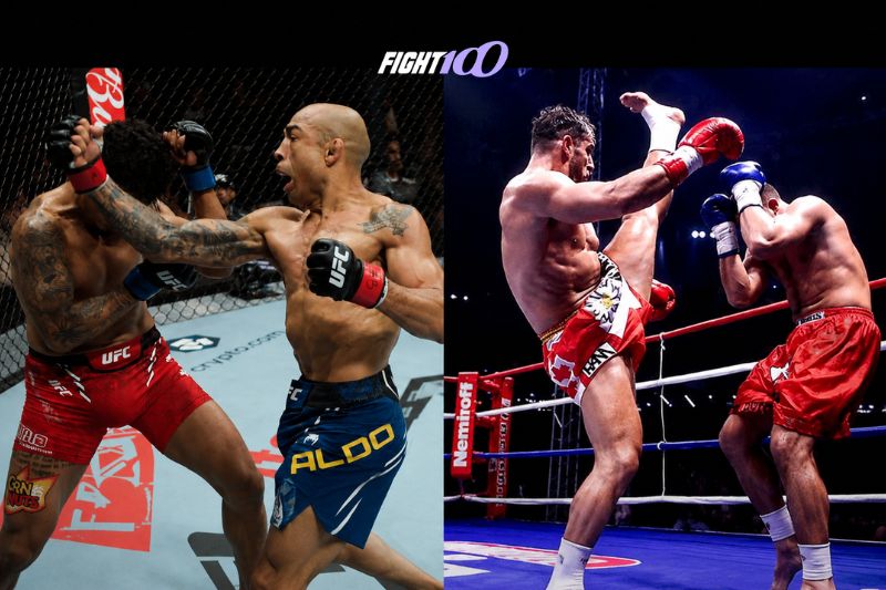 Bản chất và nguồn gốc của Kickboxing và MMA