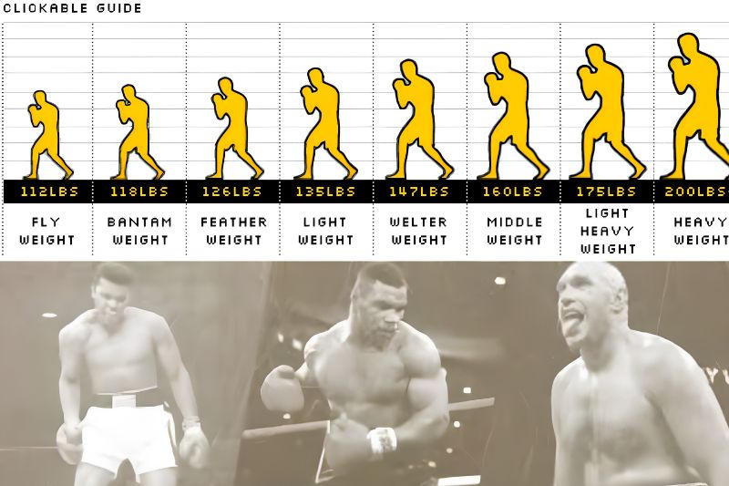 Boxing là gì? Nguồn gốc, kỹ thuật và lợi ích khi tập 3 Các cấp độ thi đấu chính trong Boxing hiện nay