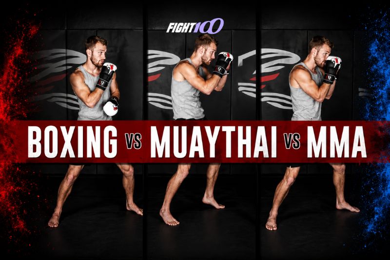 So sánh Boxing, Kickboxing vs MMA