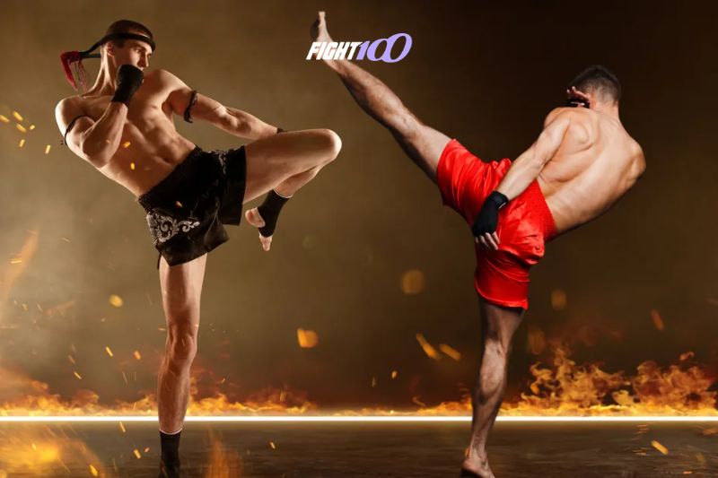 Hệ thống đòn thế và quy tắc tấn công