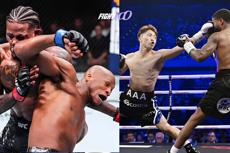 Sự khác nhau giữa Boxing và MMA
