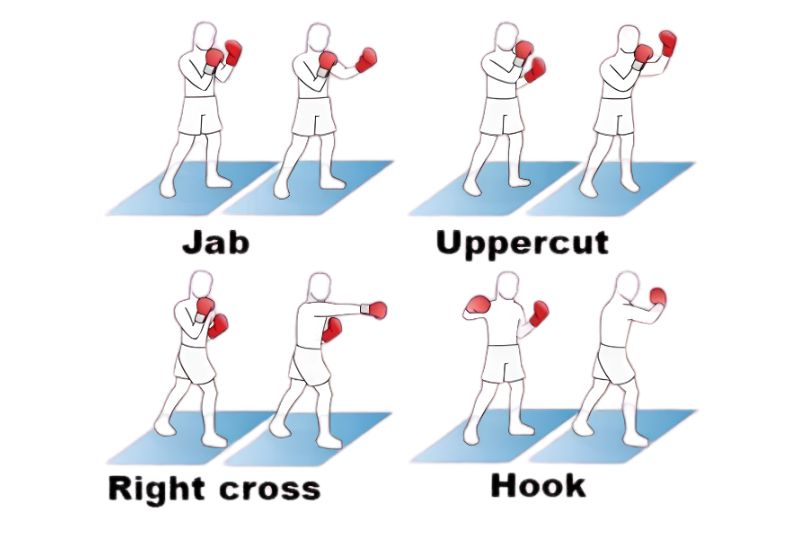 Bốn đòn đấm boxing cơ bản