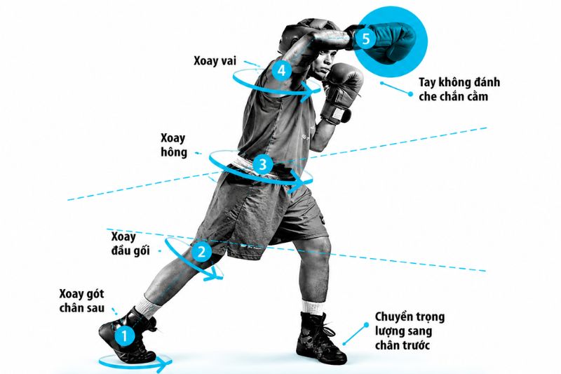 Cách đấm Boxing mạnh, nhanh và chính xác cho người mới 7 Cách đấm Boxing nhanh hơn và mạnh hơn