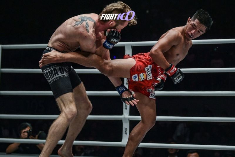 Đá sau (Back Kick)