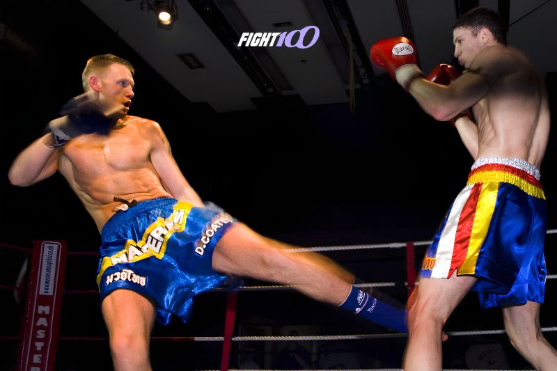 Đá thấp (Low Kick)