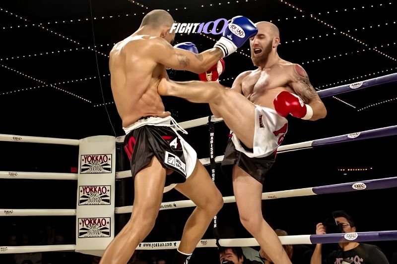 Đá tống (Front Kick)