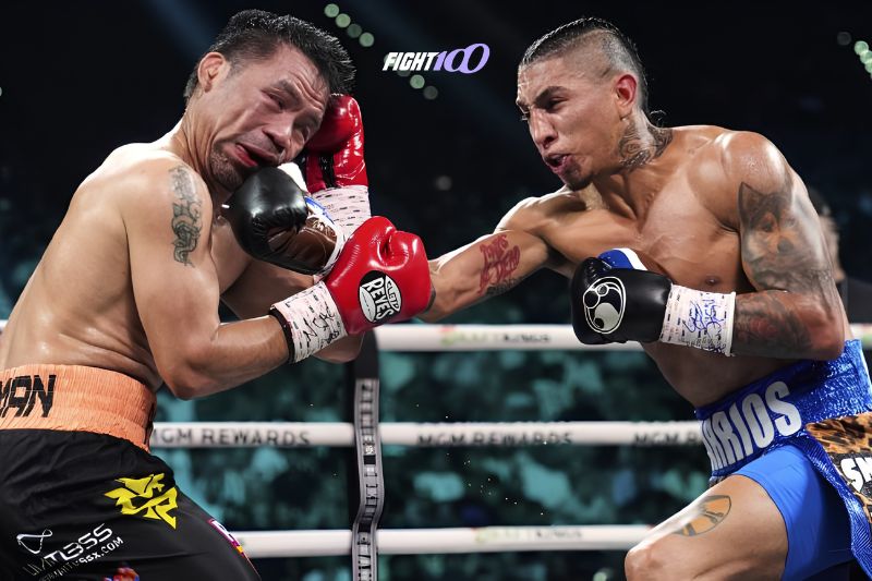 Cách đấm Boxing mạnh, nhanh và chính xác cho người mới 8 Những lỗi khiến cú đấm Boxing bị yếu