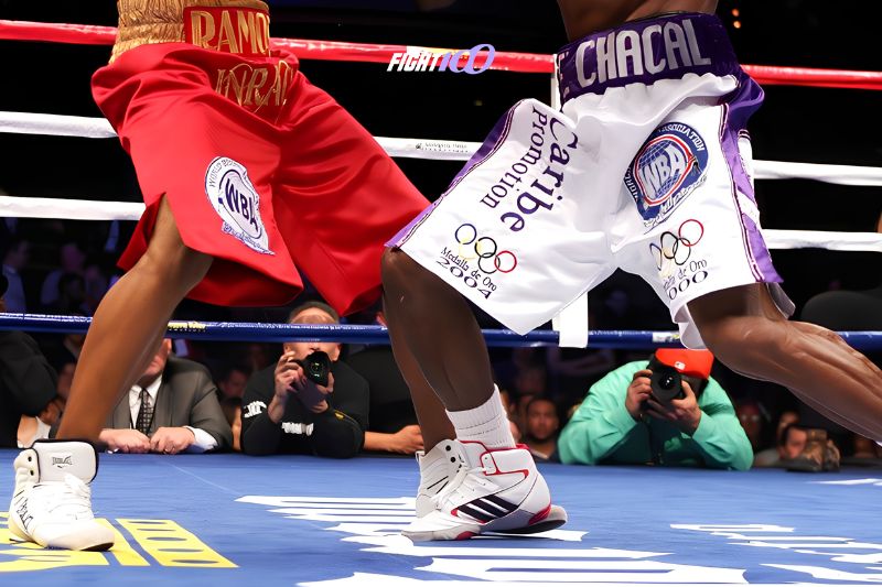 Cách đấm Boxing mạnh, nhanh và chính xác cho người mới 2 Tư thế chân đúng giúp tăng lực đấm